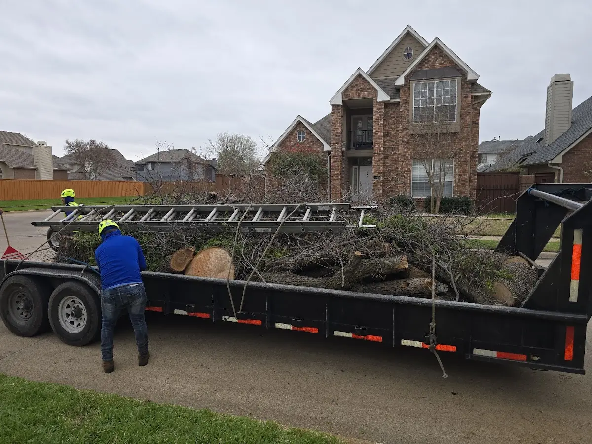 Expert Lot Clearing with proper safety equipment in Table Grove